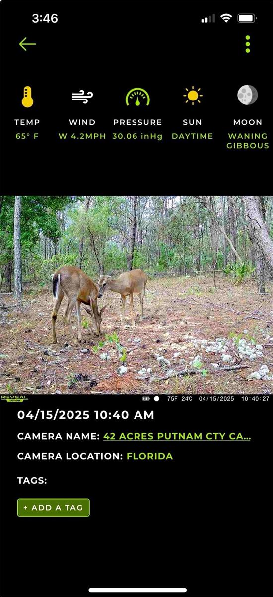 Image 5 of 12 For Old Bellamy Trail