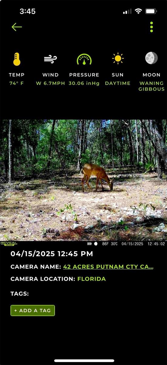 Image 6 of 12 For Old Bellamy Trail