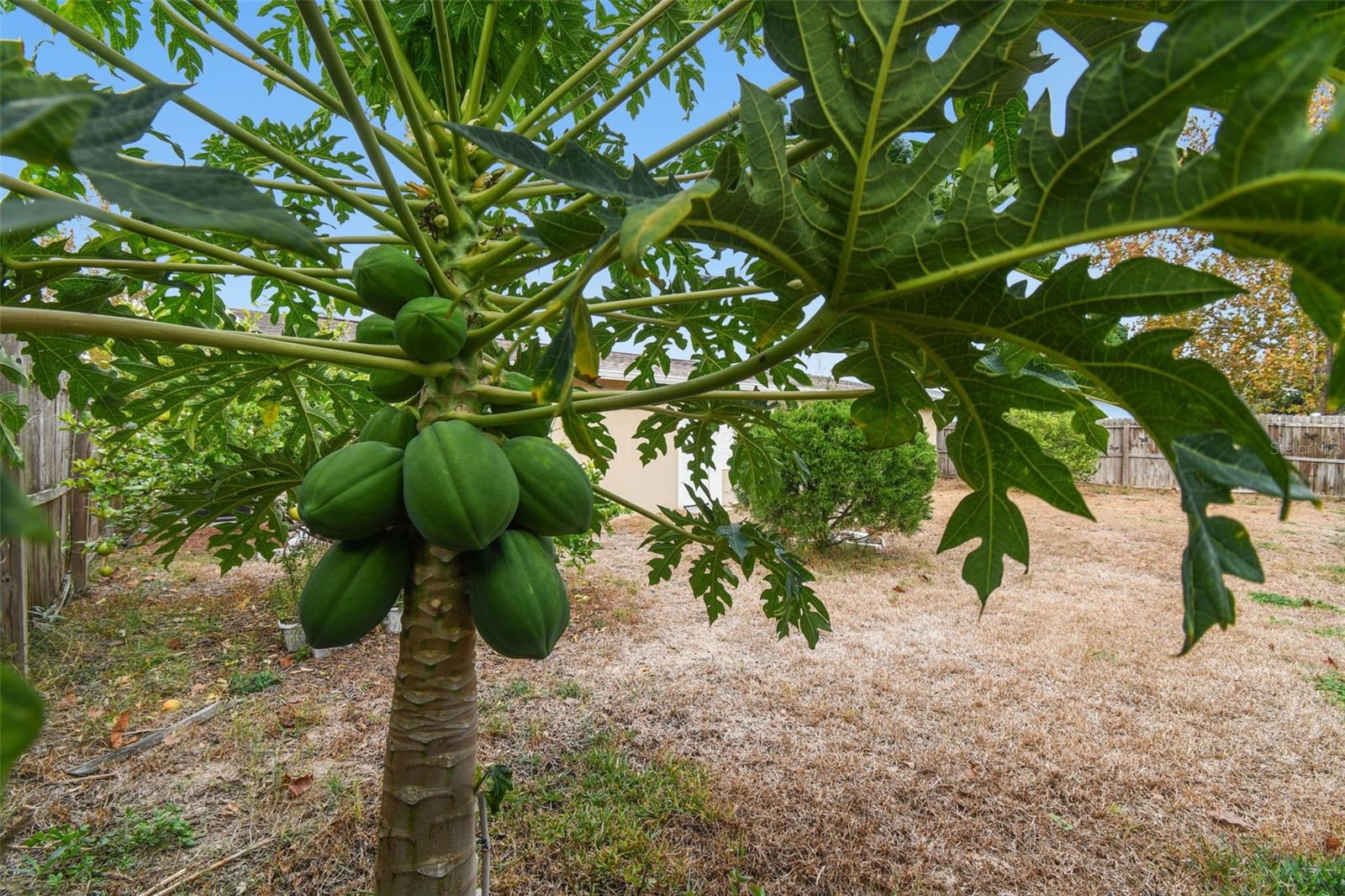 Image 41 of 68 For 7810 Birchwood Dr