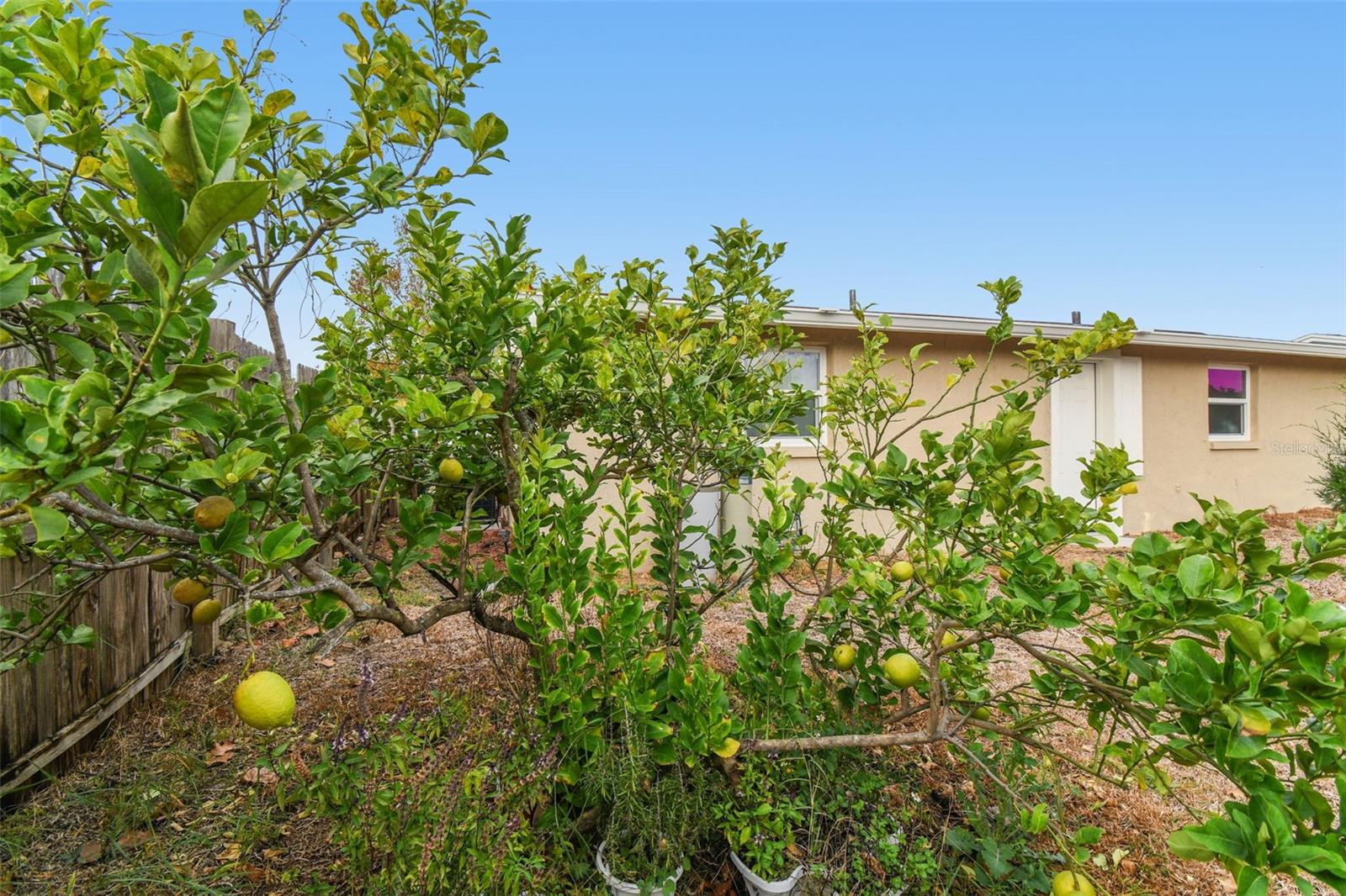 Image 43 of 68 For 7810 Birchwood Dr