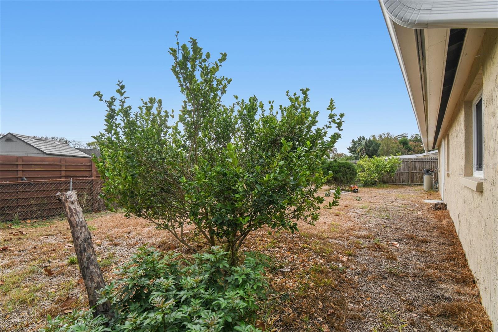 Image 46 of 68 For 7810 Birchwood Dr