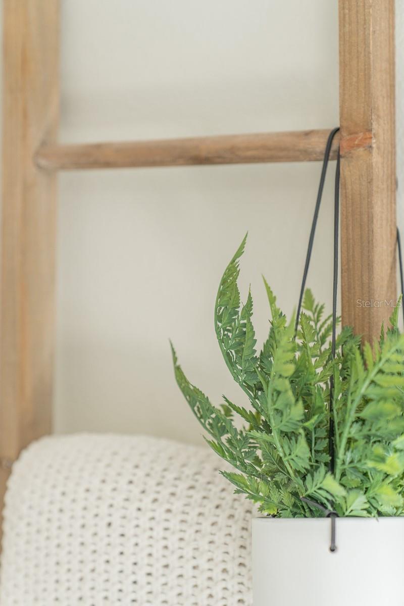 Image 11 of 84 For 34284 Verbena Street