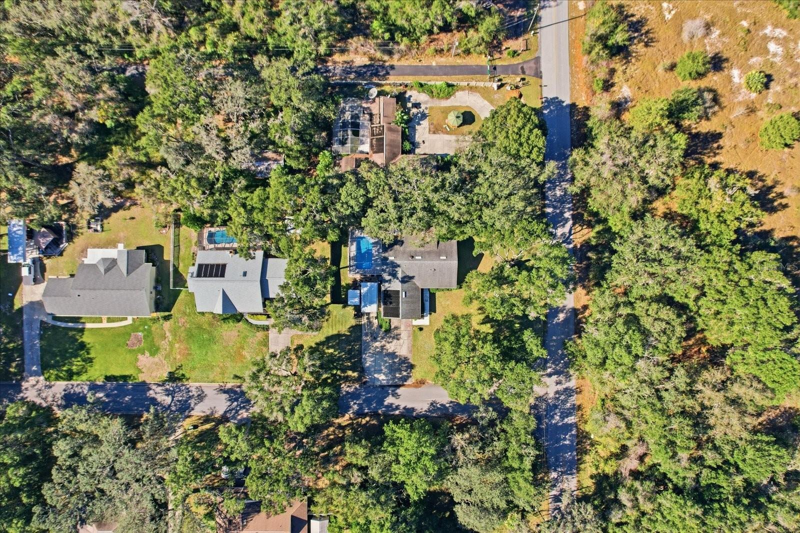 Image 43 of 48 For 35003 Silver Oak Drive