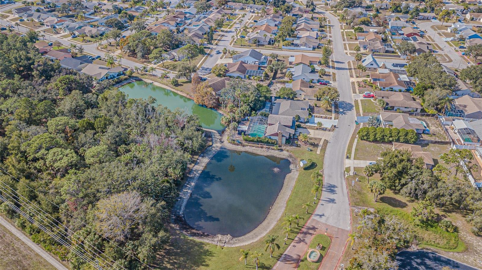 Image 41 of 42 For 18664 White Pine Circle