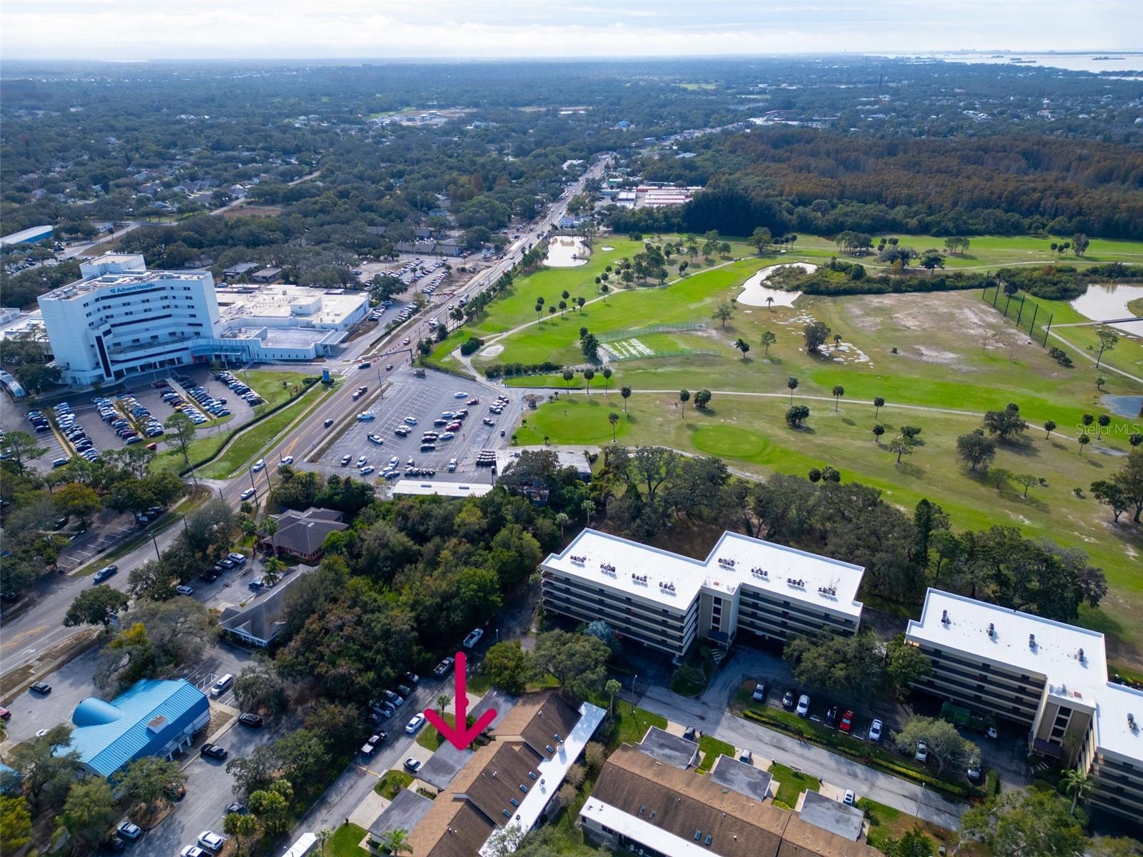 Image 43 of 67 For 1202 Palm Drive