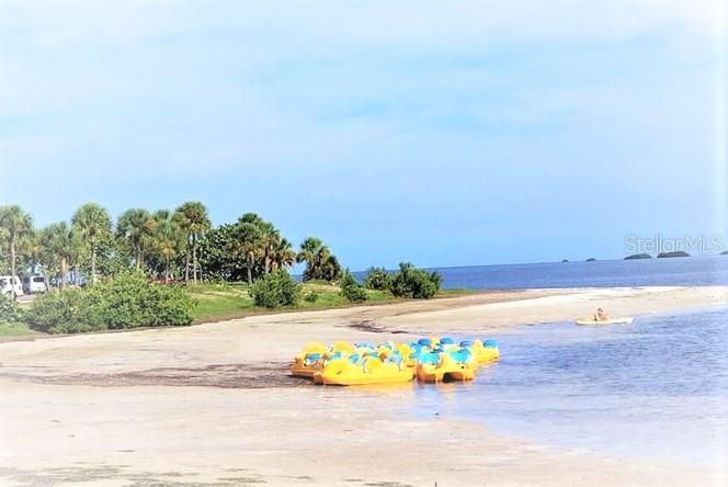 Image 65 of 67 For 1202 Palm Drive