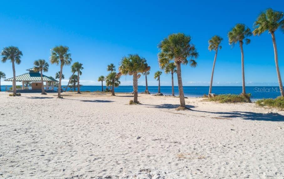 Image 67 of 67 For 1202 Palm Drive