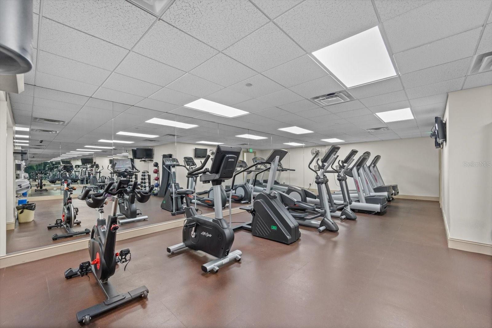 Image 28 of 47 For 345 Bayshore Boulevard 706