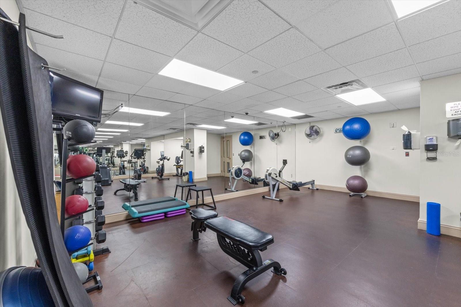 Image 29 of 47 For 345 Bayshore Boulevard 706