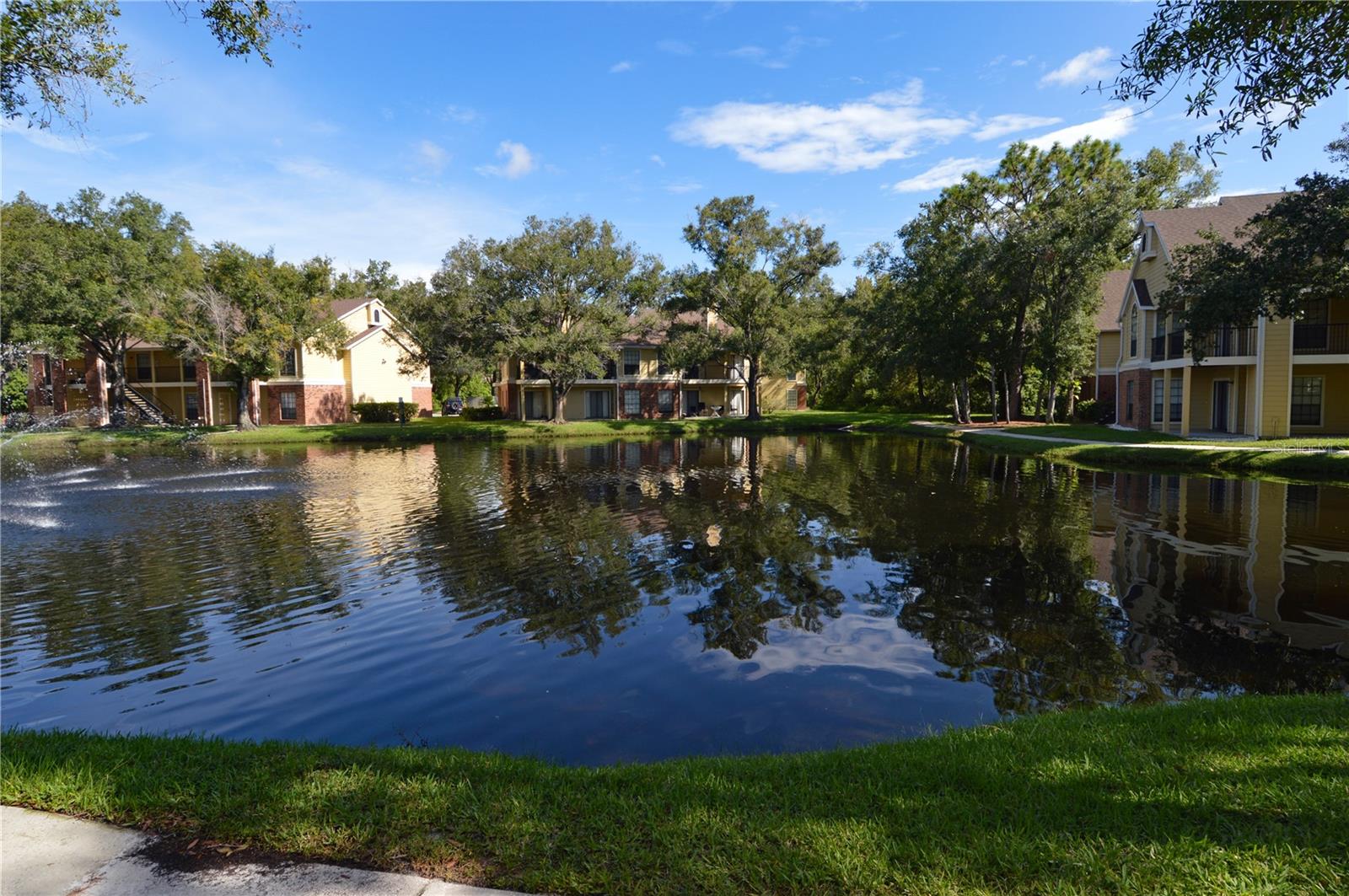 Image 46 of 92 For 8649 Fancy Finch Drive 103