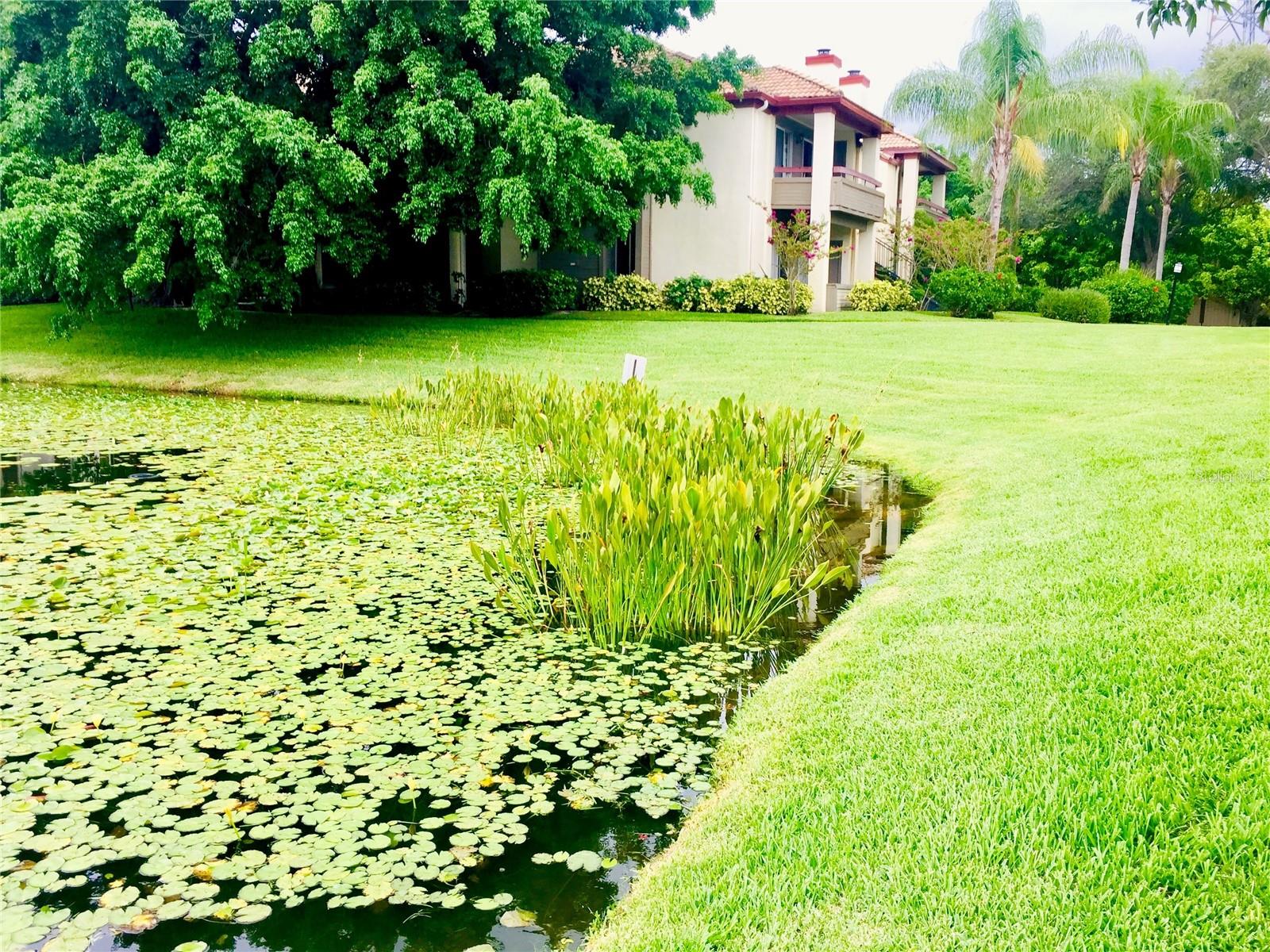 Image 13 of 35 For 10263 Gandy Boulevard N 513