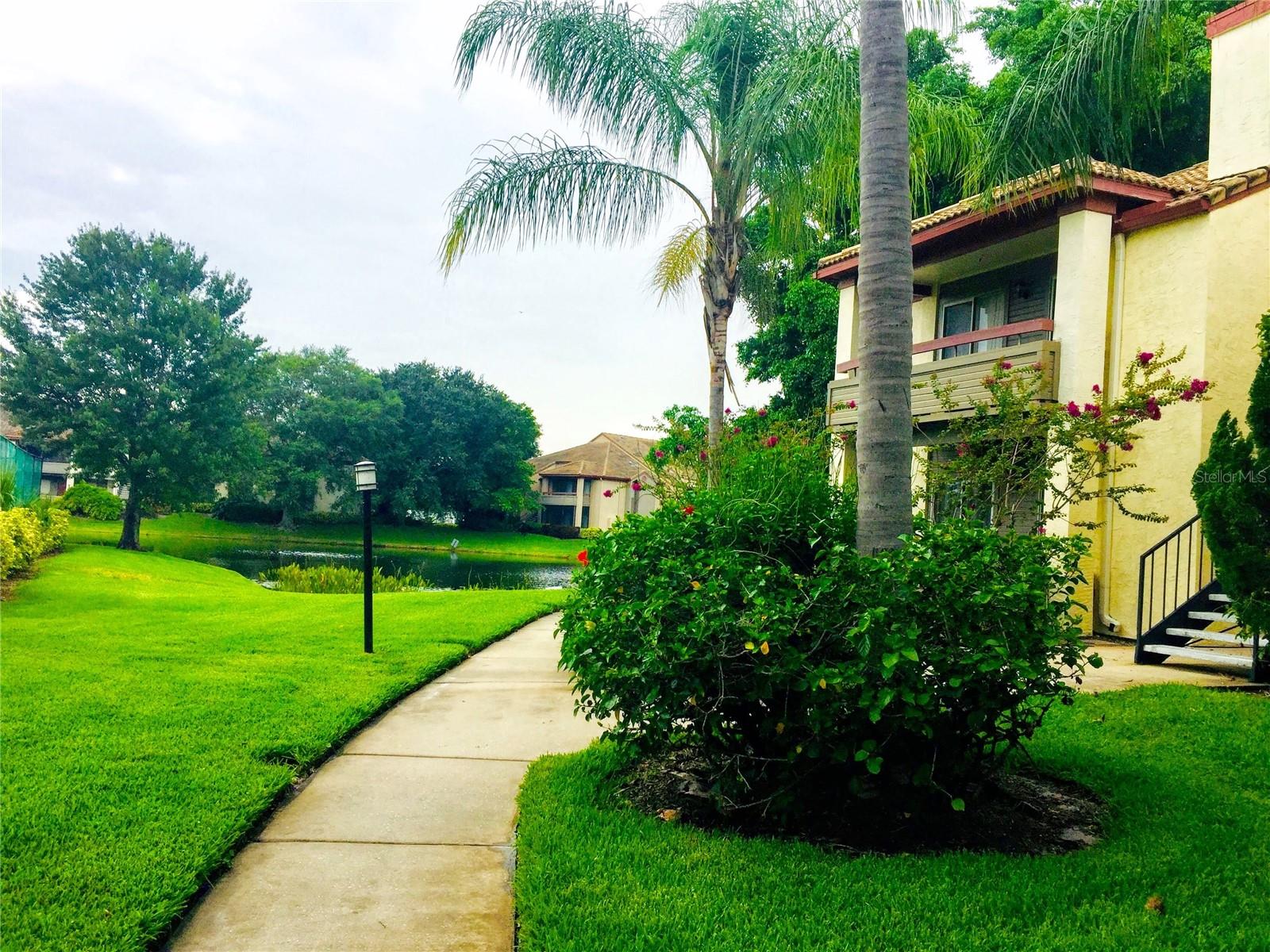 Image 15 of 35 For 10263 Gandy Boulevard N 513