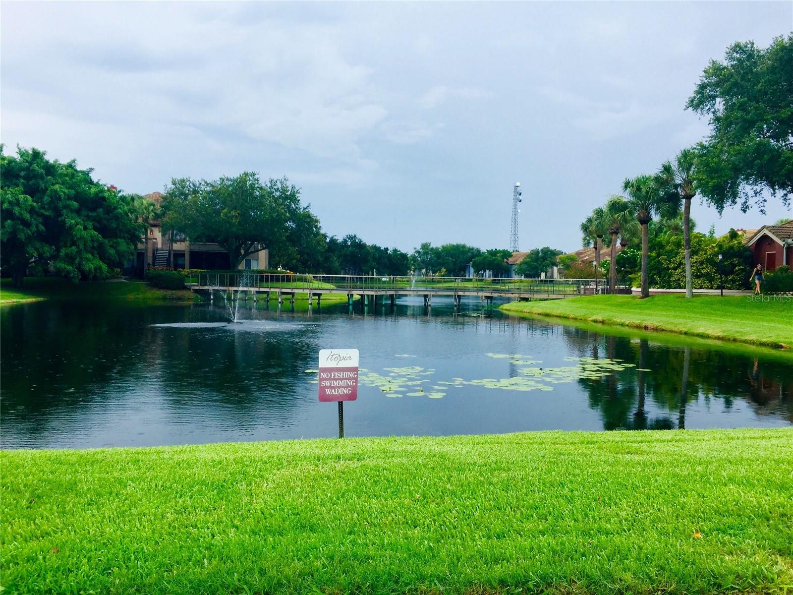 Image 17 of 35 For 10263 Gandy Boulevard N 513