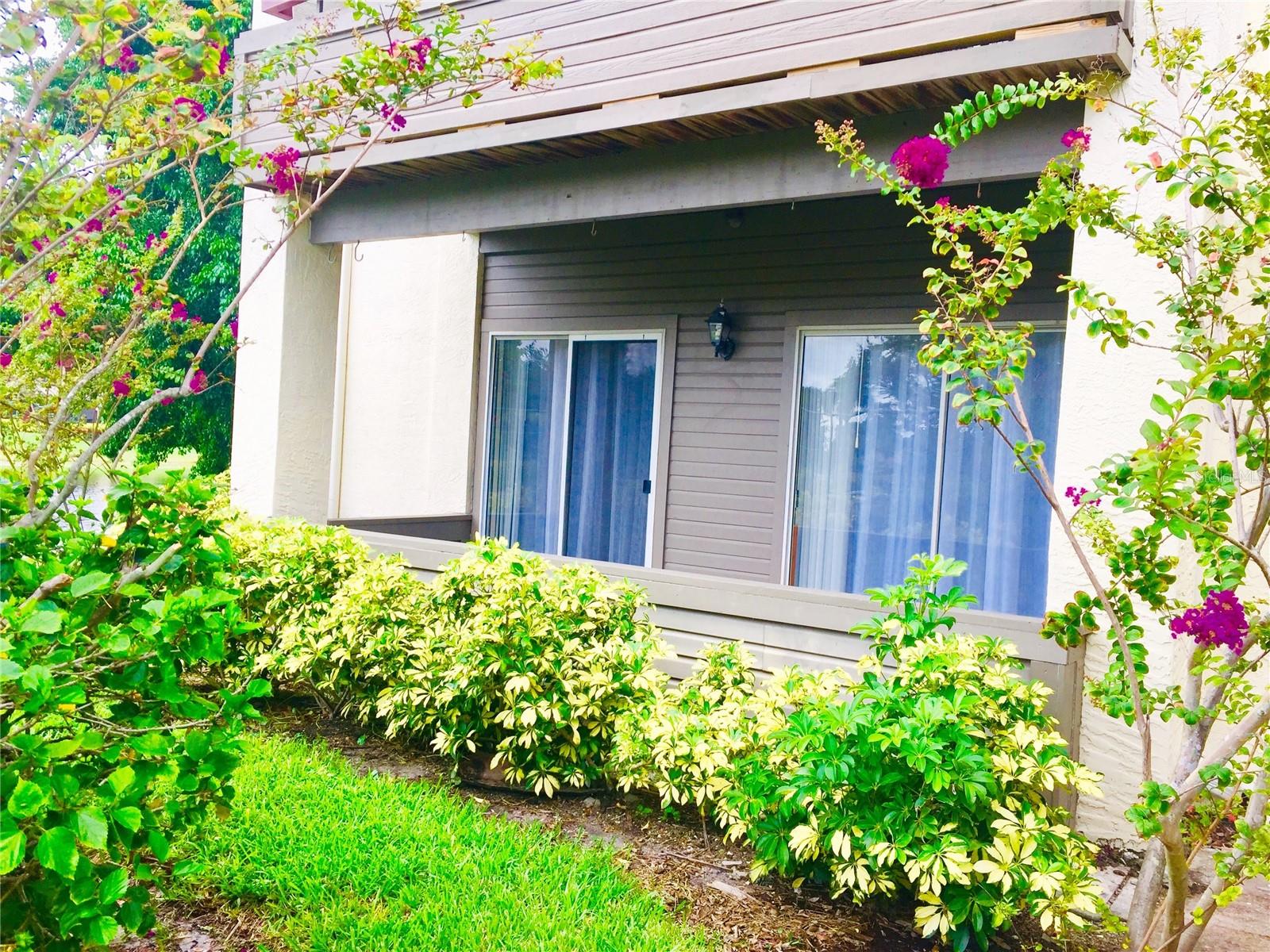 Image 2 of 35 For 10263 Gandy Boulevard N 513