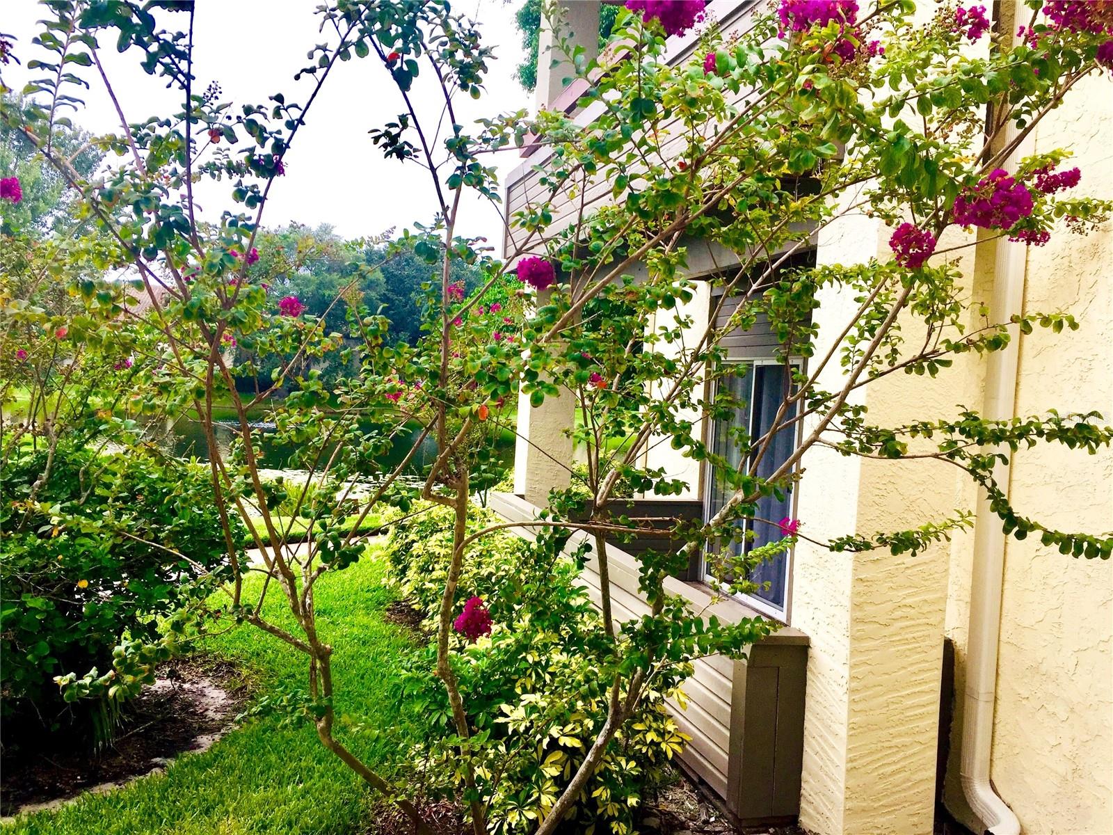 Image 32 of 35 For 10263 Gandy Boulevard N 513