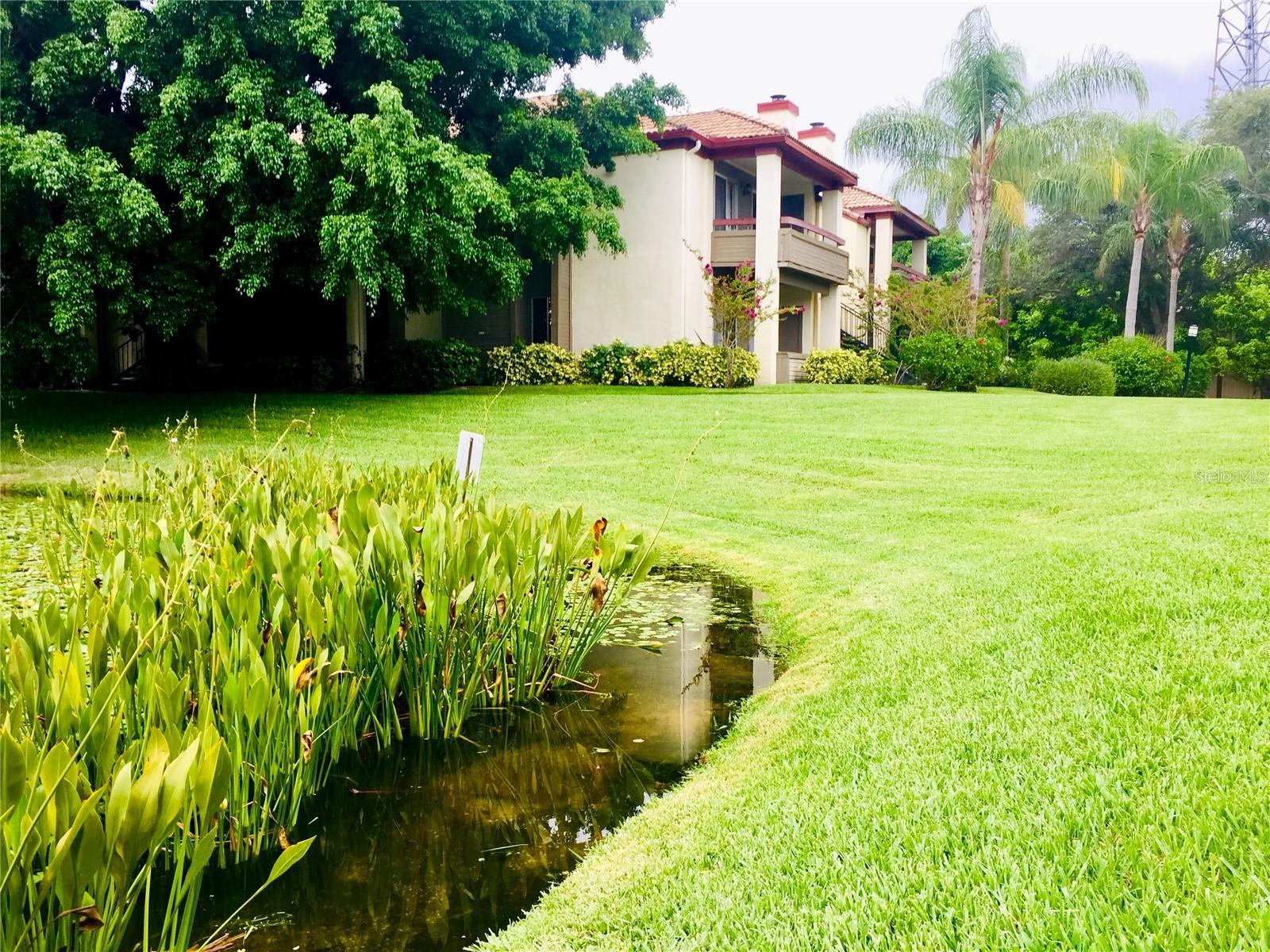 Image 33 of 35 For 10263 Gandy Boulevard N 513