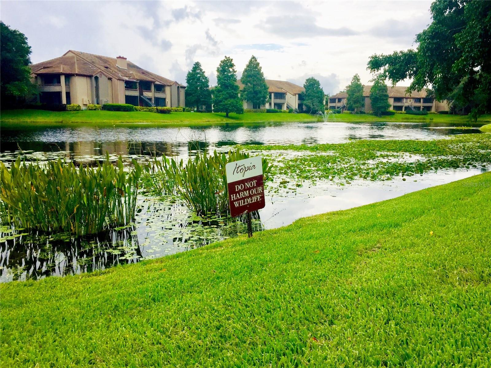 Image 34 of 35 For 10263 Gandy Boulevard N 513