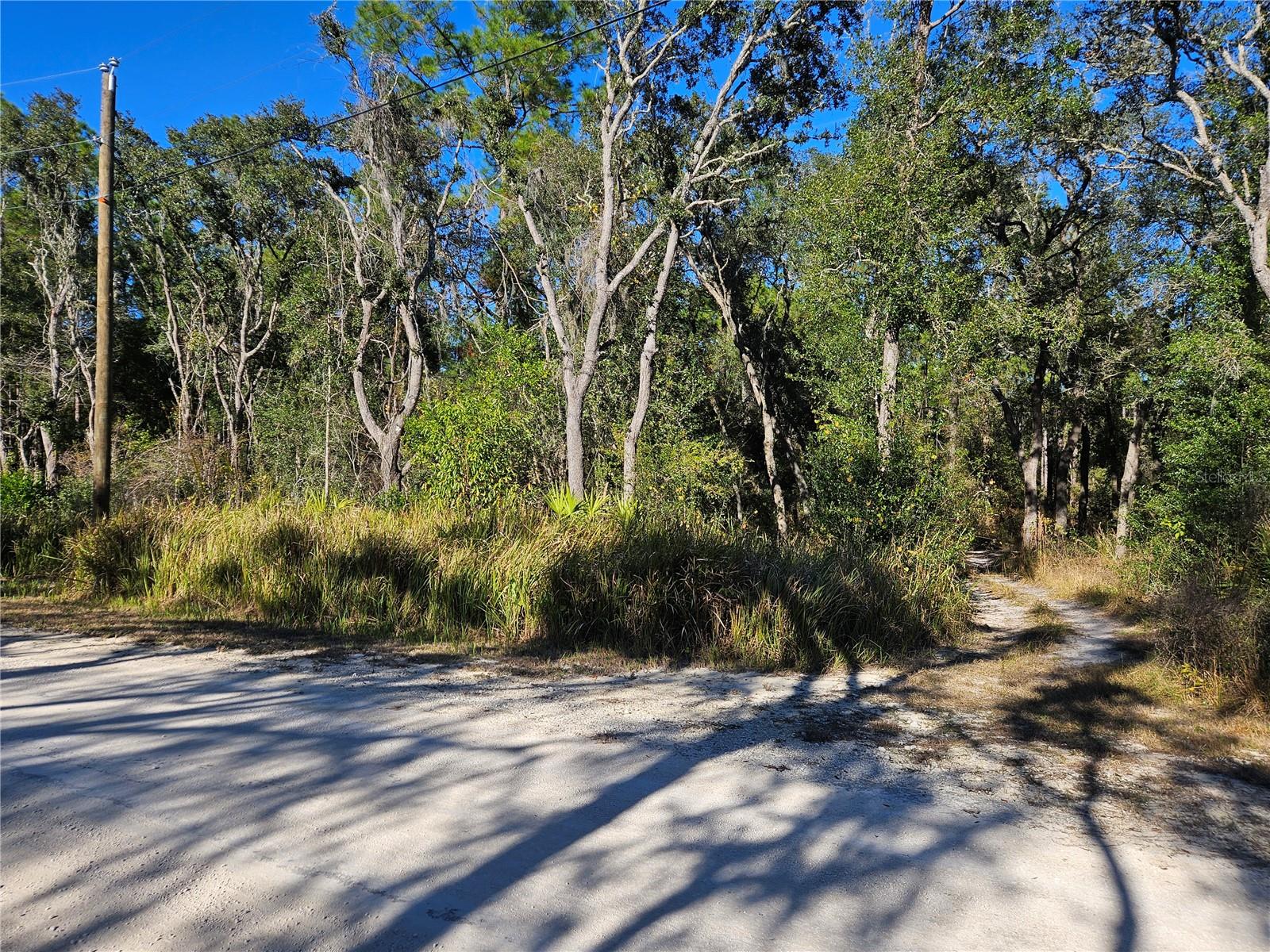 Details for Berryhill Drive, WEBSTER, FL 33597