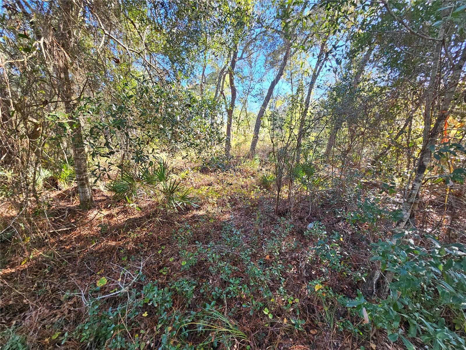 Image 10 of 16 For Berryhill Drive