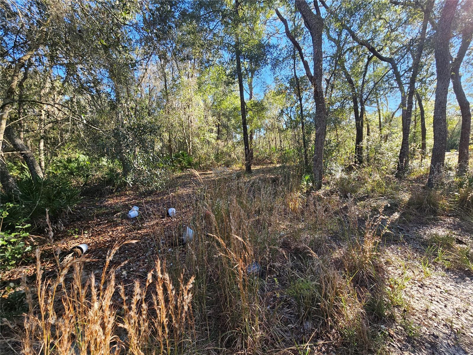 Image 14 of 16 For Berryhill Drive