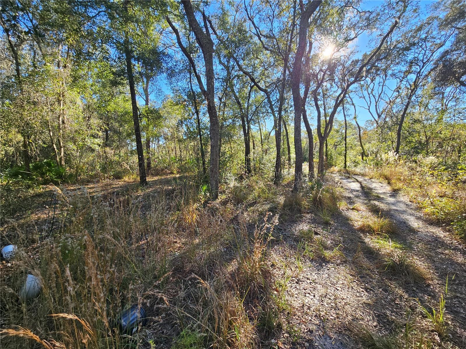 Image 15 of 16 For Berryhill Drive