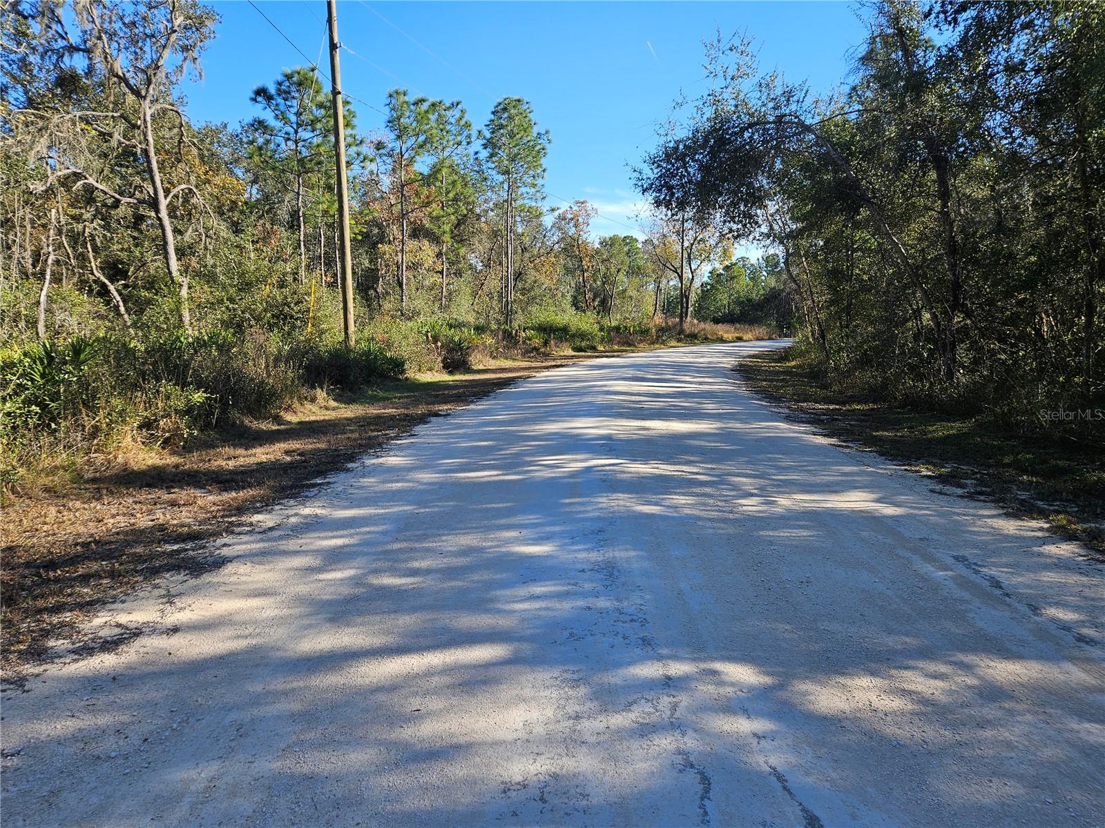 Image 3 of 16 For Berryhill Drive