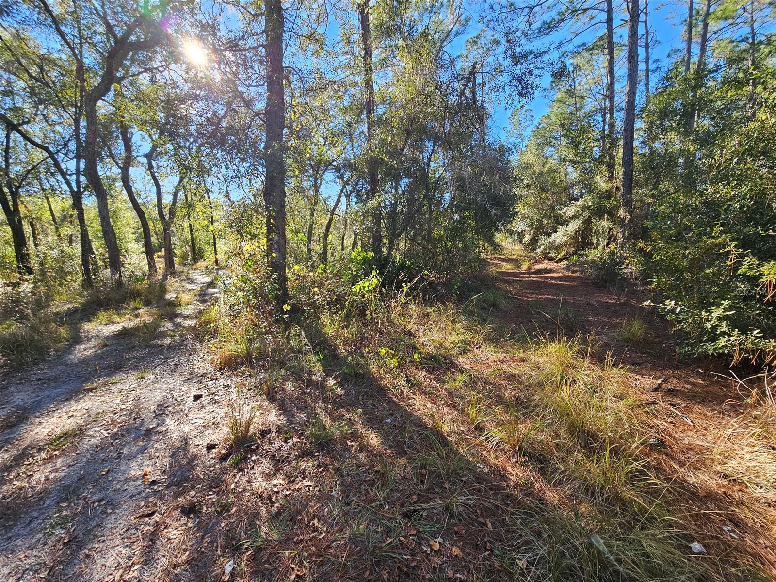 Image 6 of 16 For Berryhill Drive