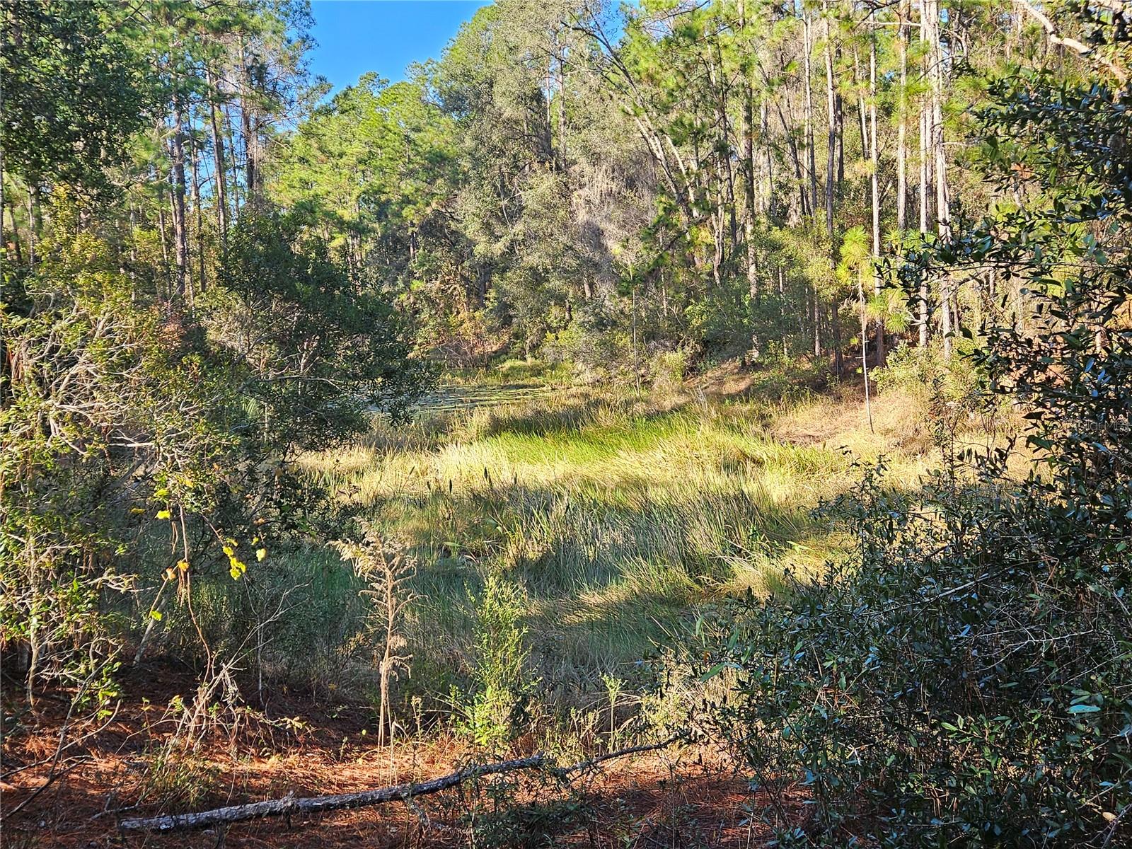 Image 7 of 16 For Berryhill Drive