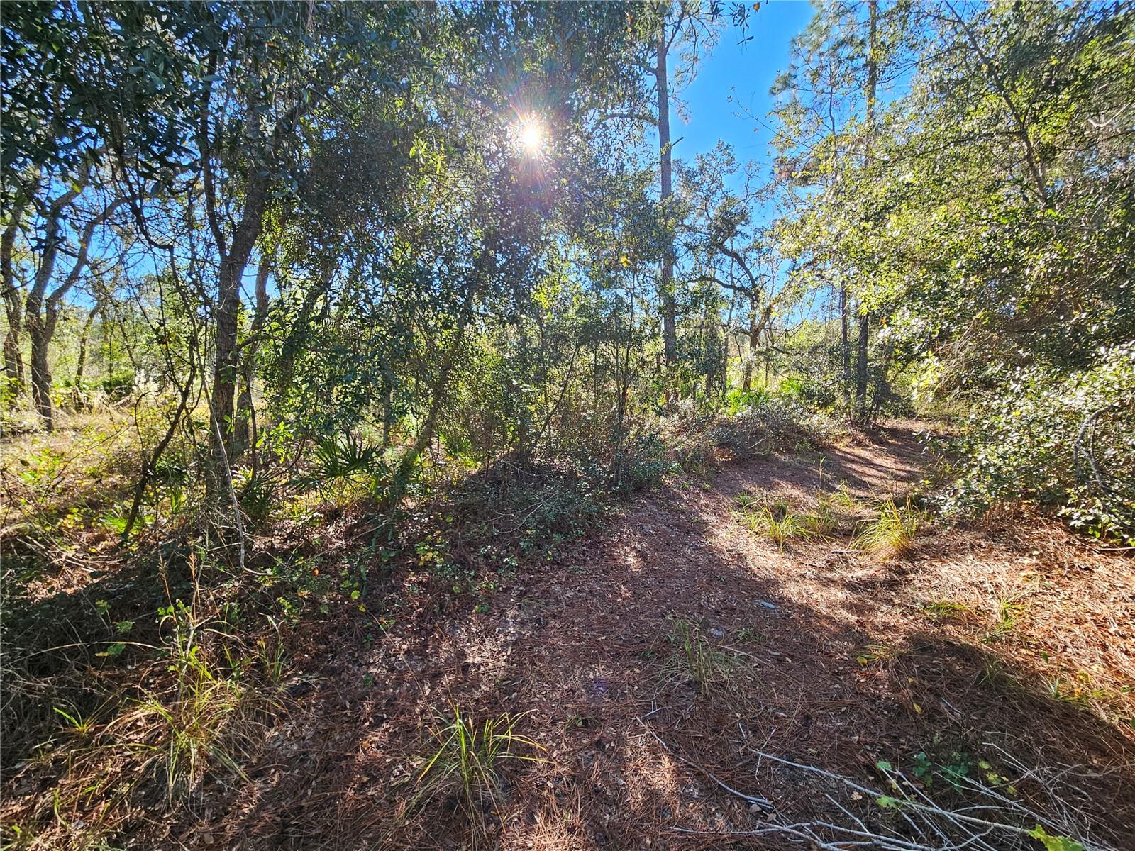 Image 9 of 16 For Berryhill Drive