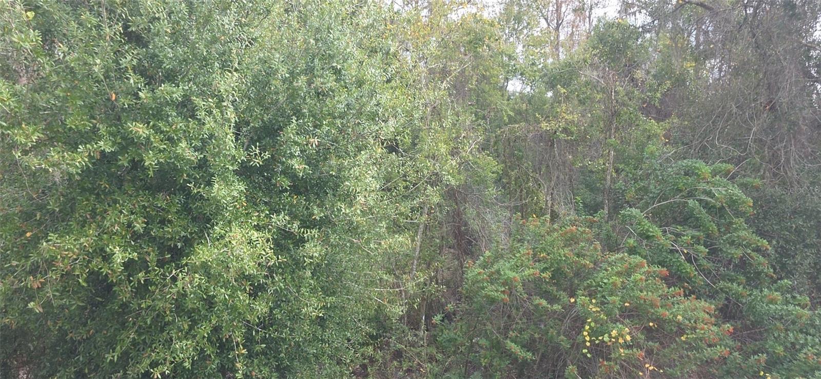 Image 40 of 42 For 2142 Park Crescent Drive