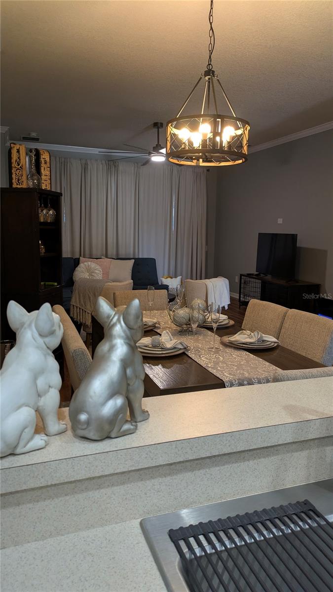 Image 10 of 29 For 581 Painted Leaf Drive