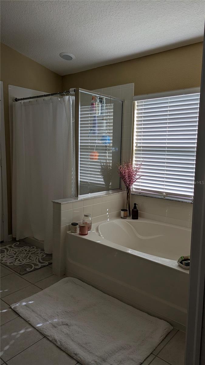 Image 17 of 29 For 581 Painted Leaf Drive