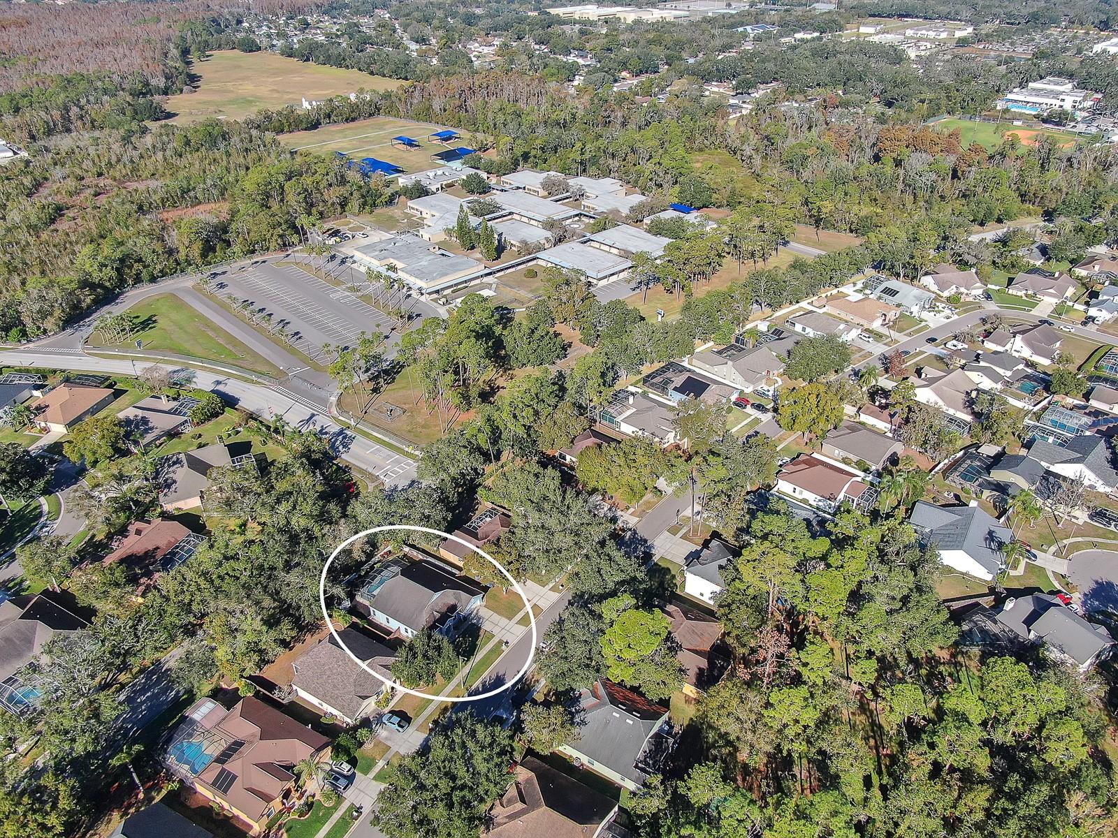 Listing photo id 28 for 3729 Hollow Wood Drive