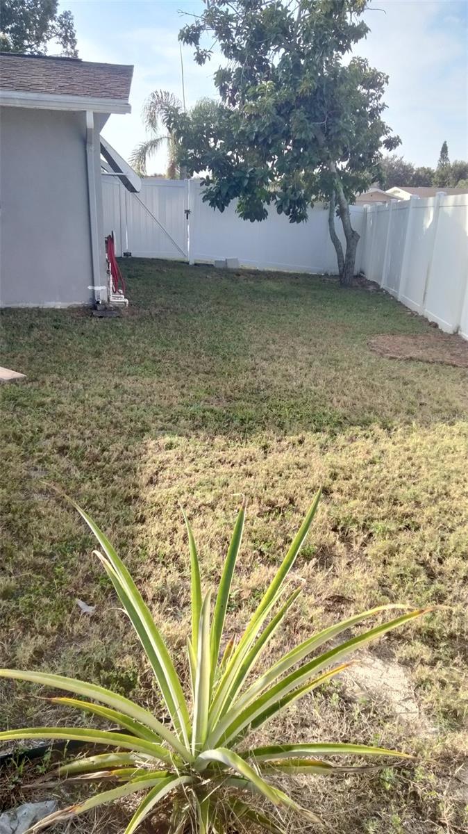 Listing photo id 13 for 5245 Bluejay Drive