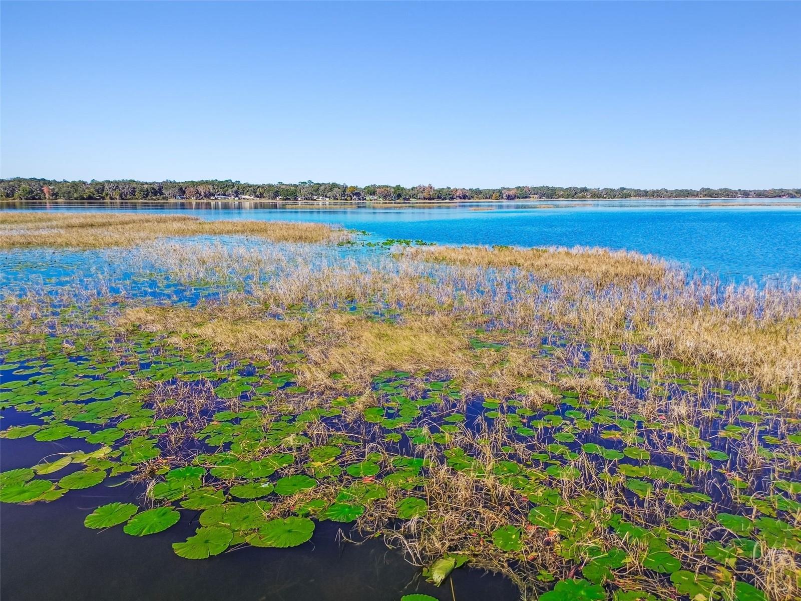 Image 41 of 51 For 3857 Orange Drive