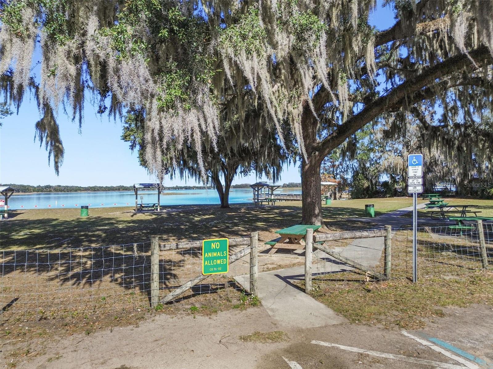 Image 43 of 51 For 3857 Orange Drive