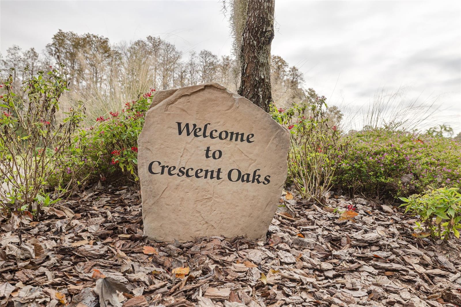 Image 42 of 60 For 1036 Dartford Drive