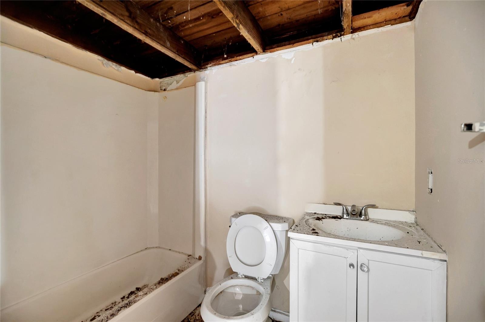 Listing photo id 9 for 7006 Palmetto Lane