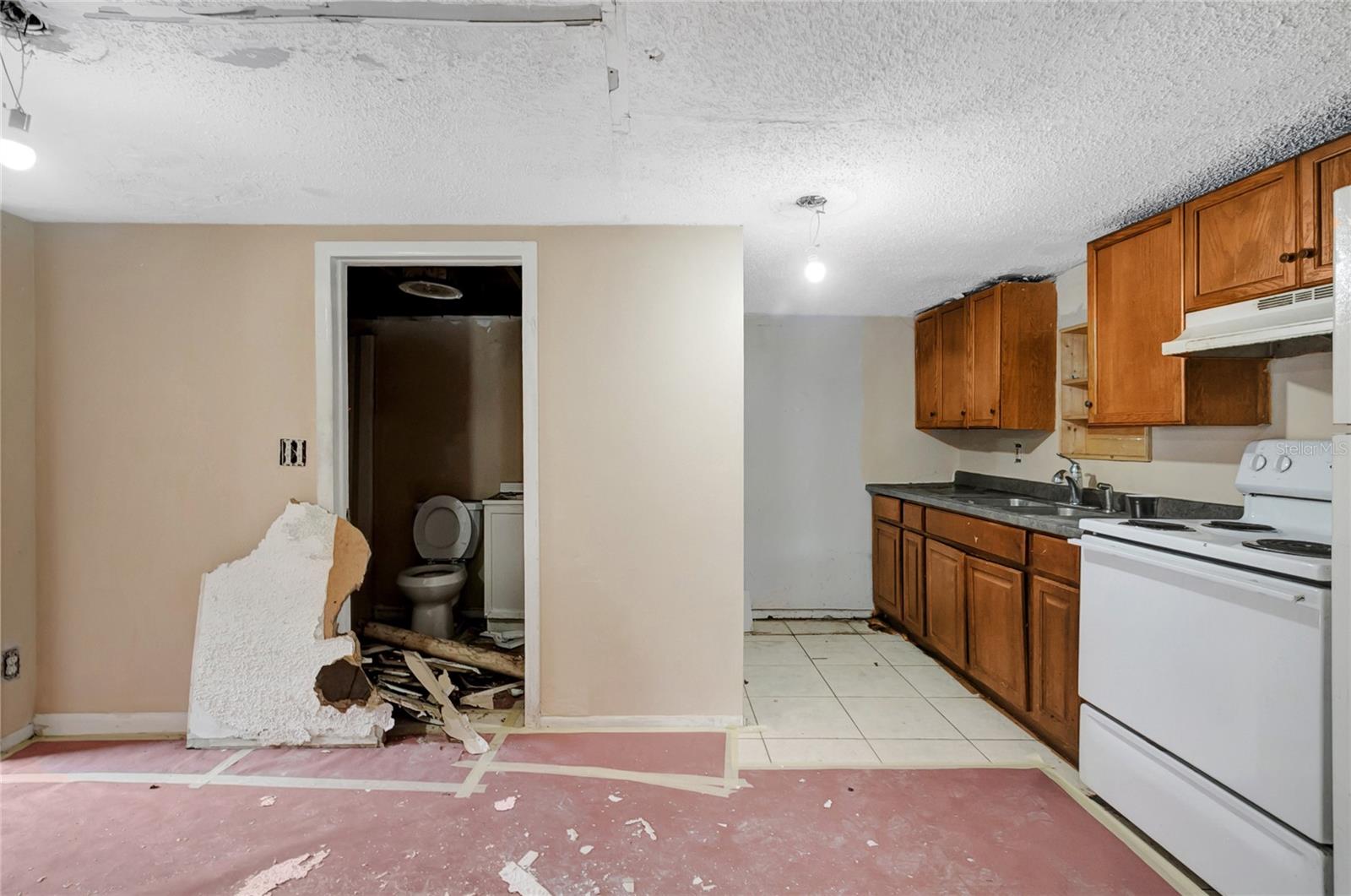 Listing photo id 6 for 7006 Palmetto Lane