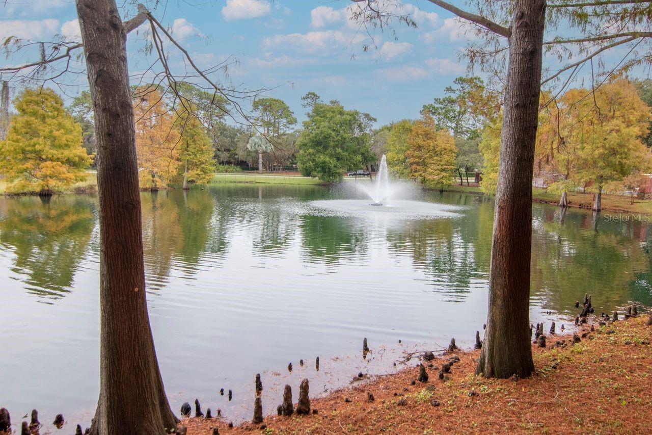 Image 18 of 69 For 2217 Tuscany Trace 10