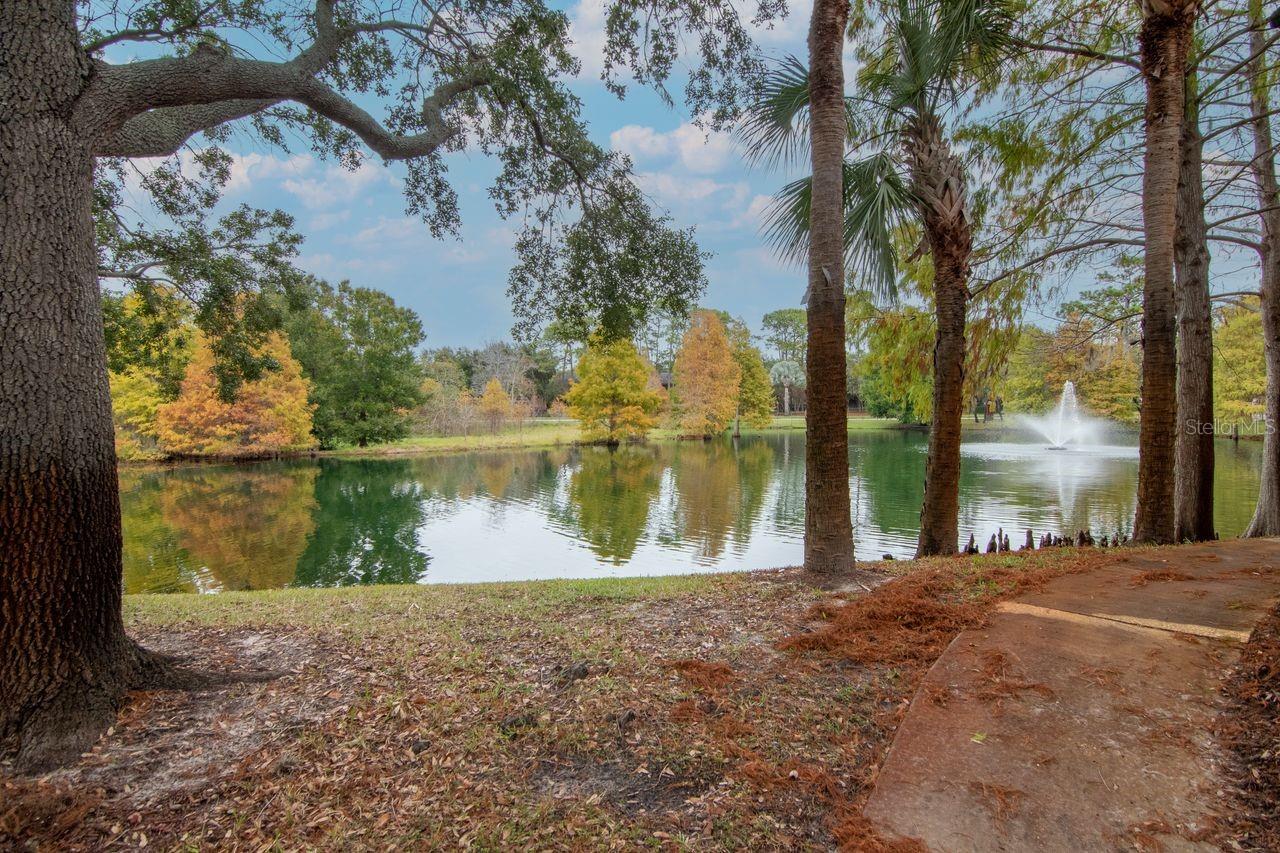 Image 28 of 69 For 2217 Tuscany Trace 10