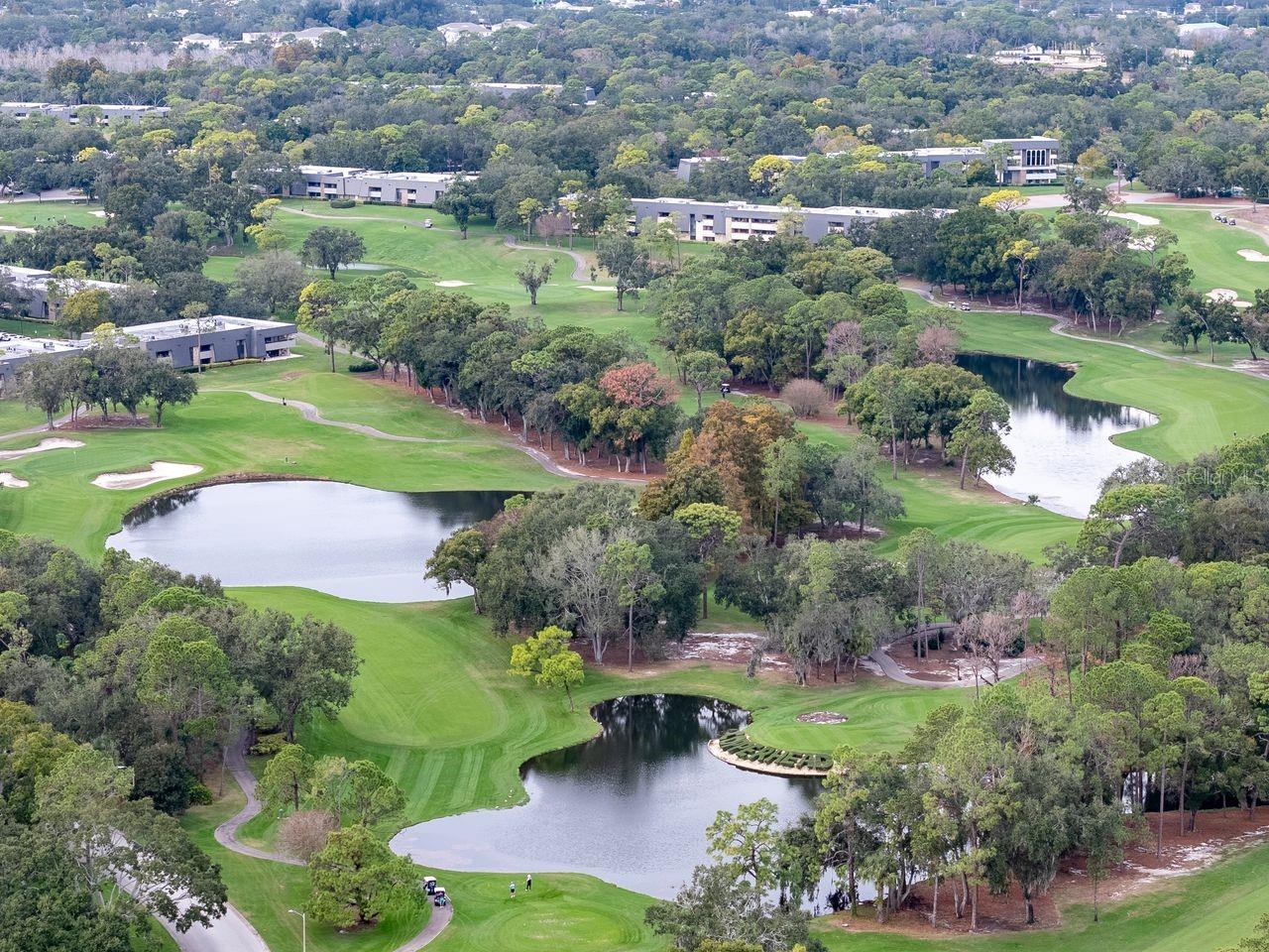 Image 50 of 69 For 2217 Tuscany Trace 10