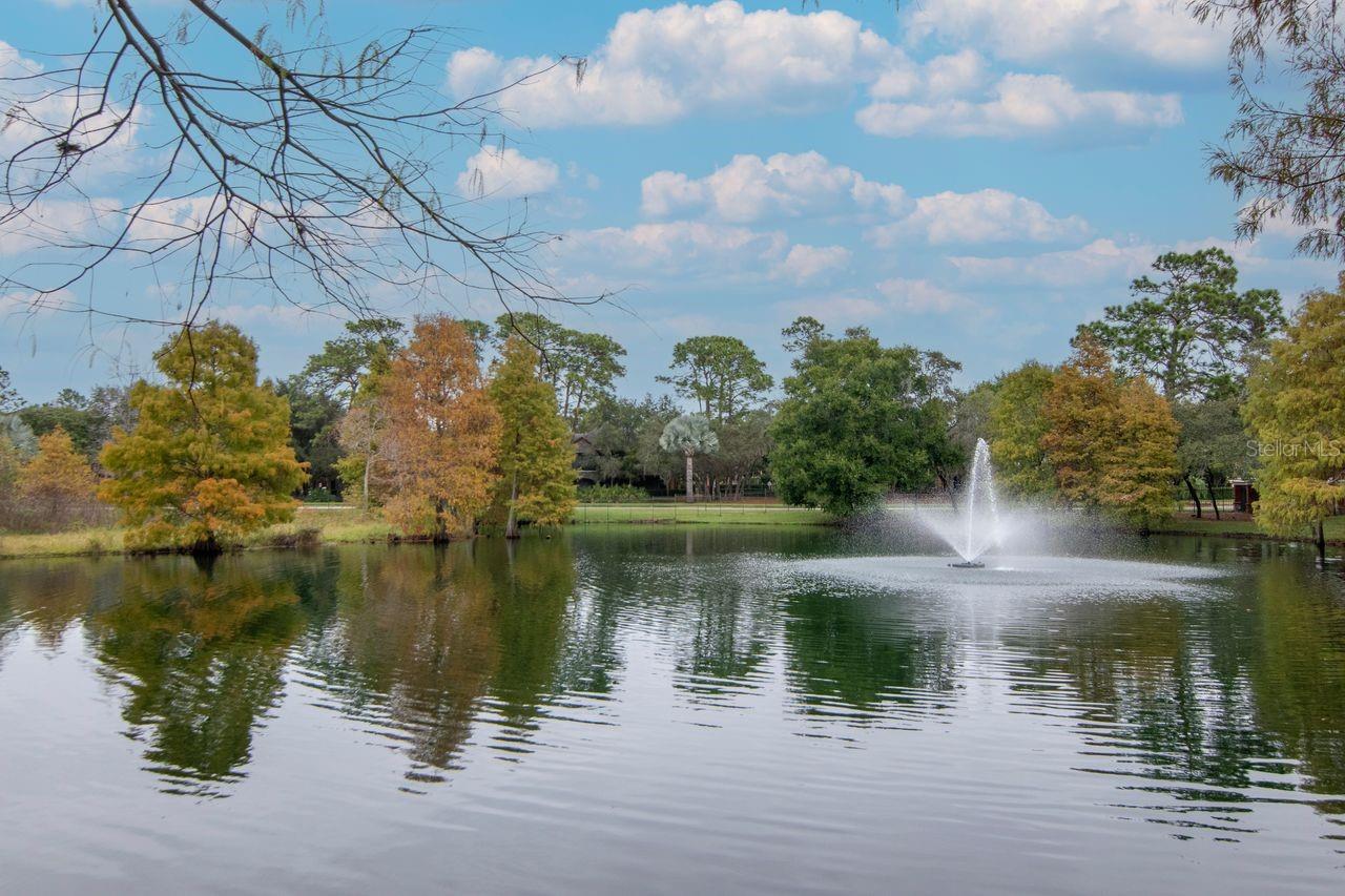 Image 57 of 69 For 2217 Tuscany Trace 10