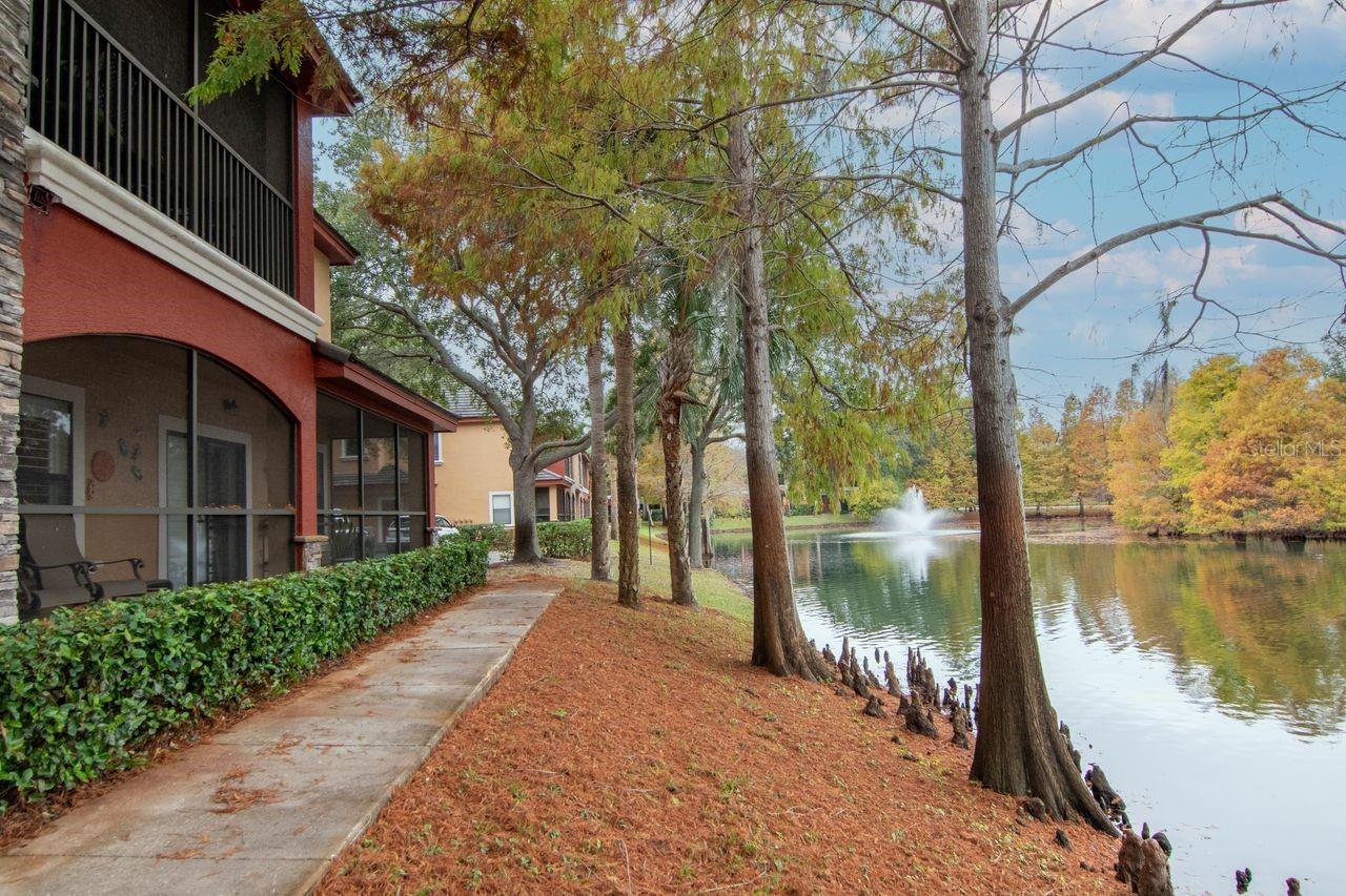 Image 58 of 69 For 2217 Tuscany Trace 10