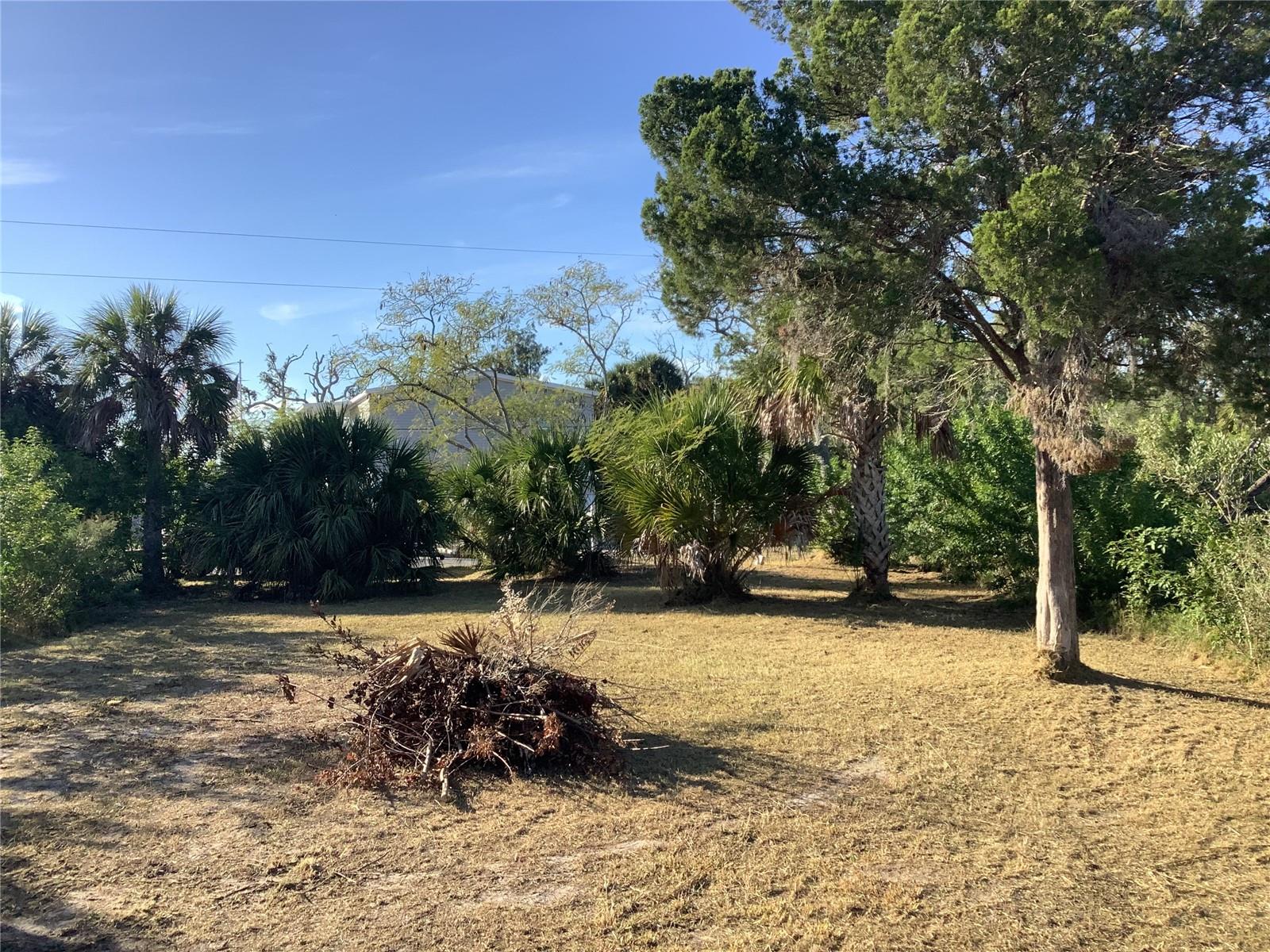 Image 10 of 12 For 14144 Pine Street