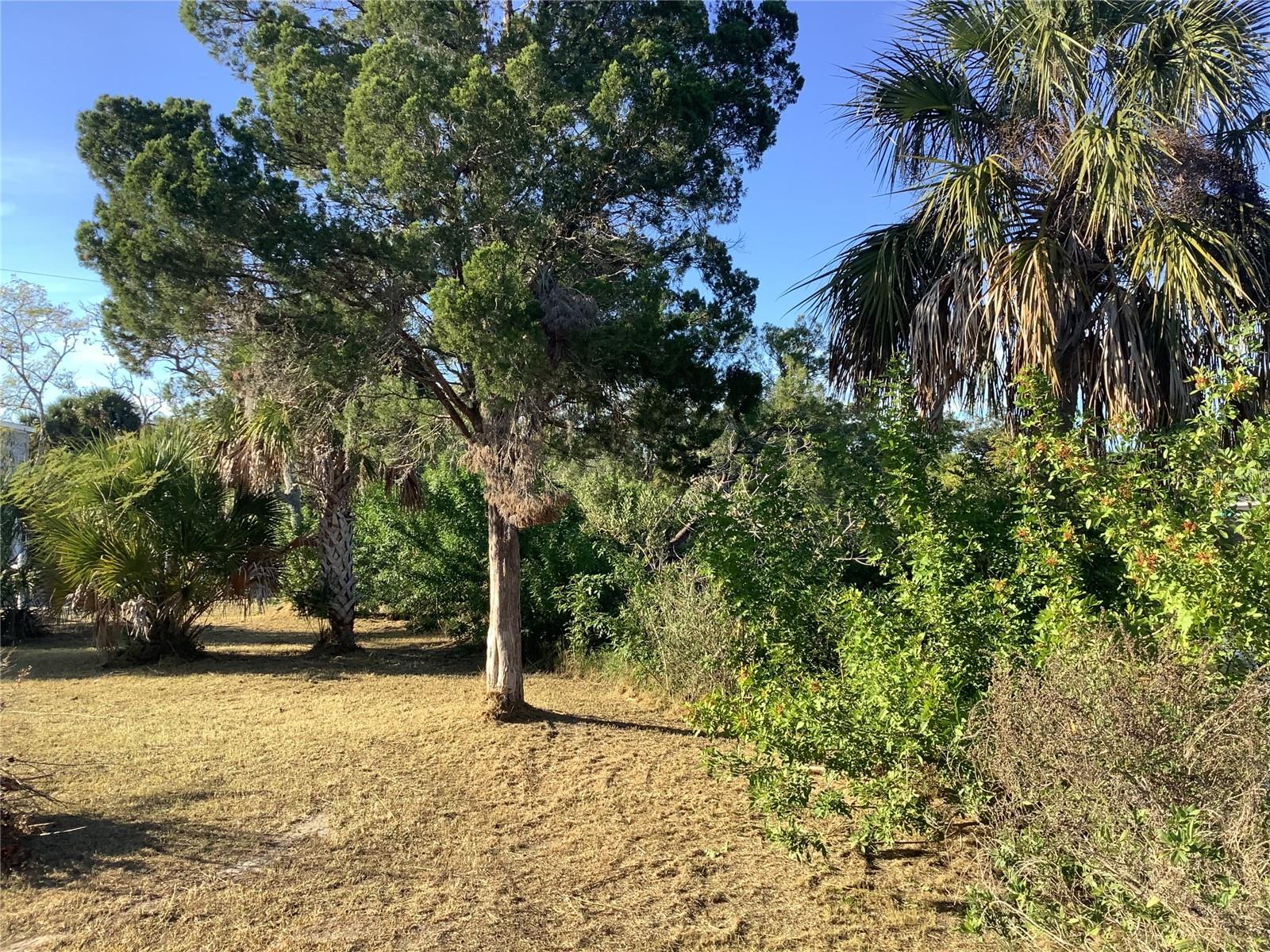 Image 12 of 12 For 14144 Pine Street