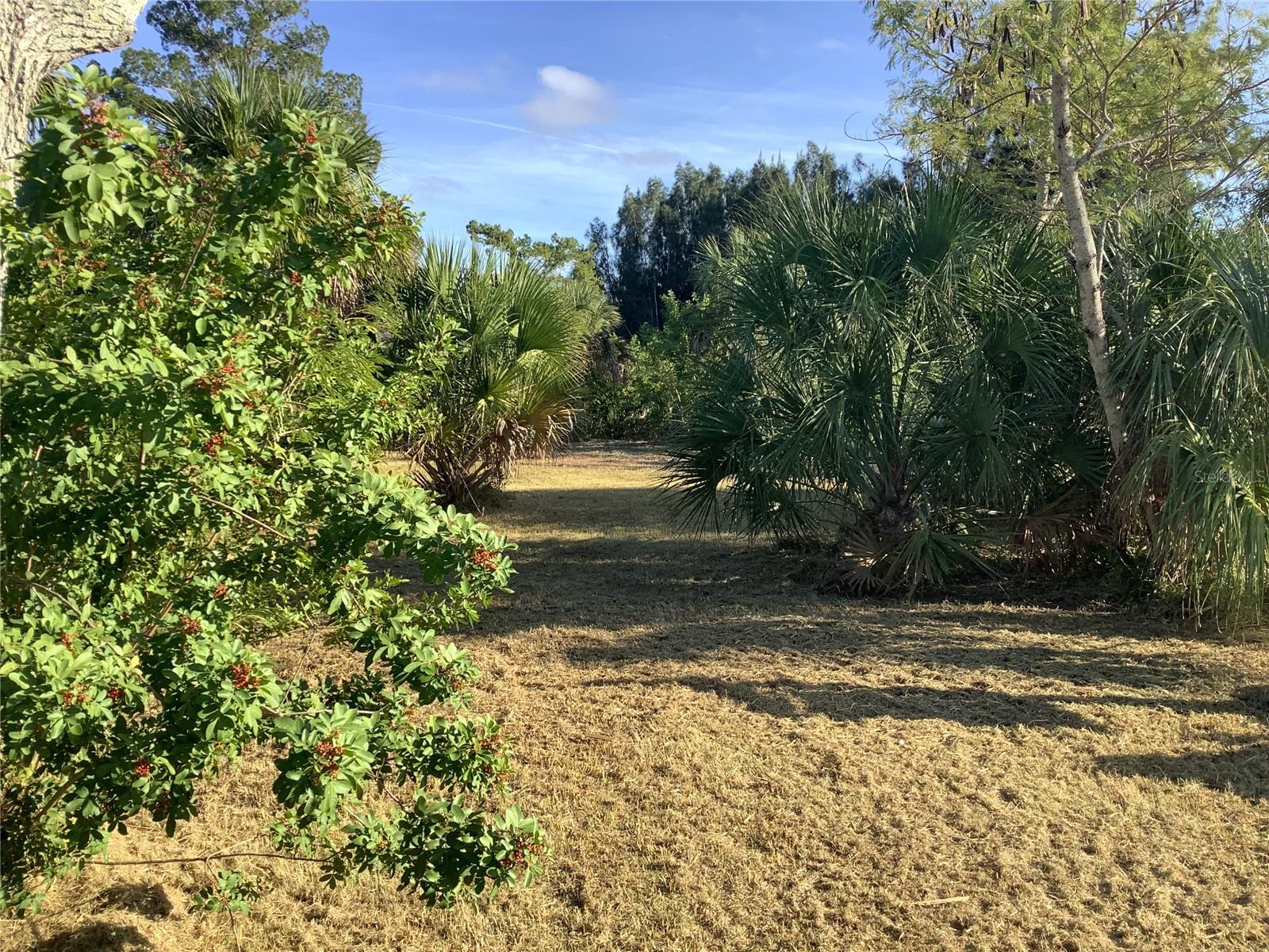 Image 7 of 12 For 14144 Pine Street