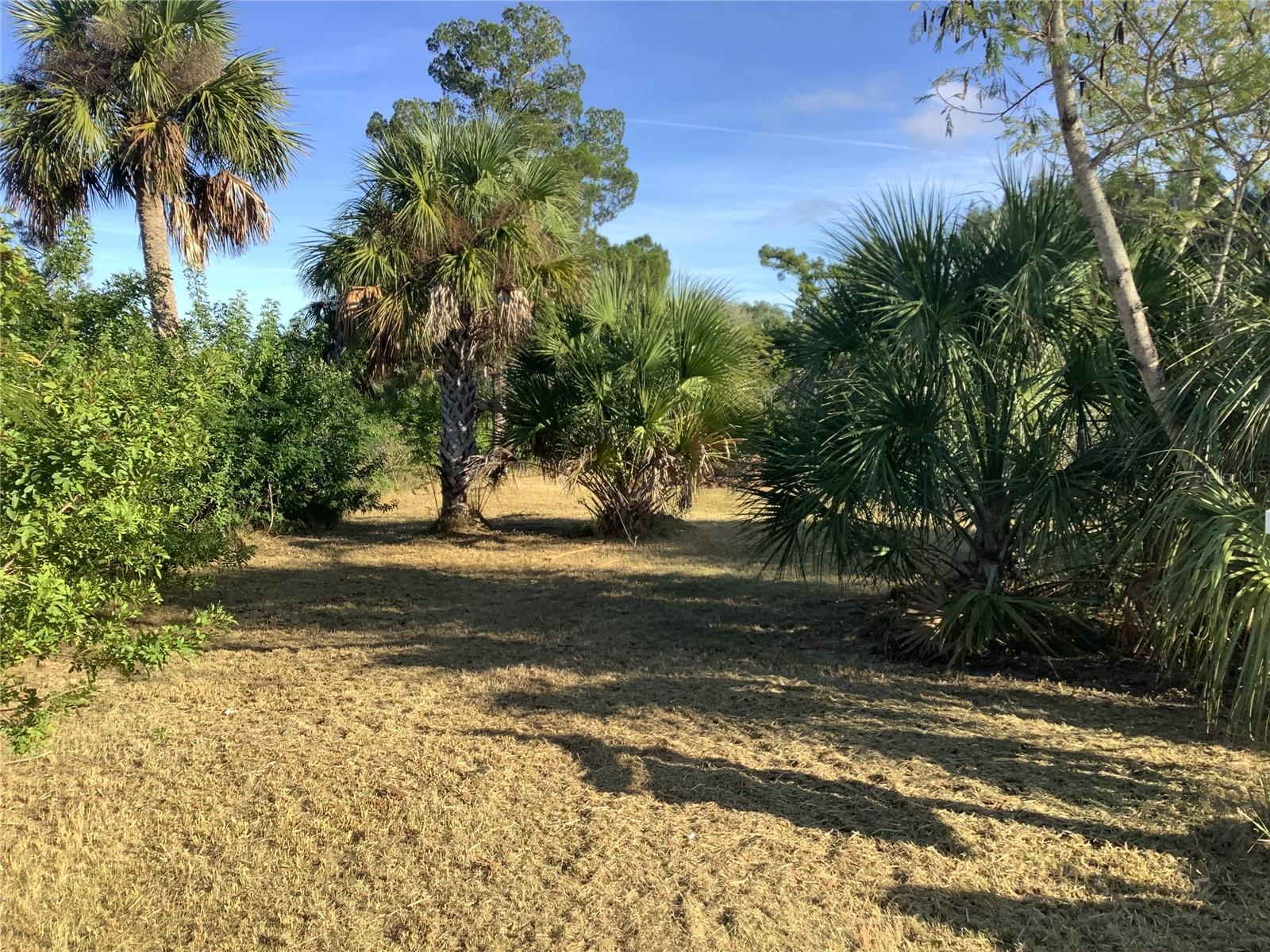 Image 8 of 12 For 14144 Pine Street