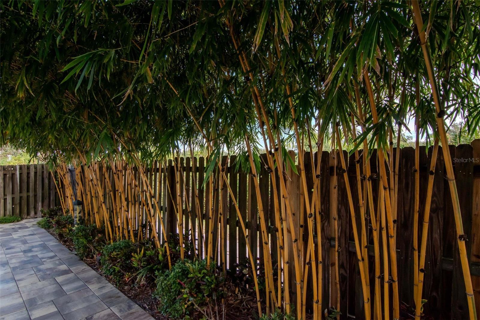 Image 38 of 68 For 3021 Brookfield Lane