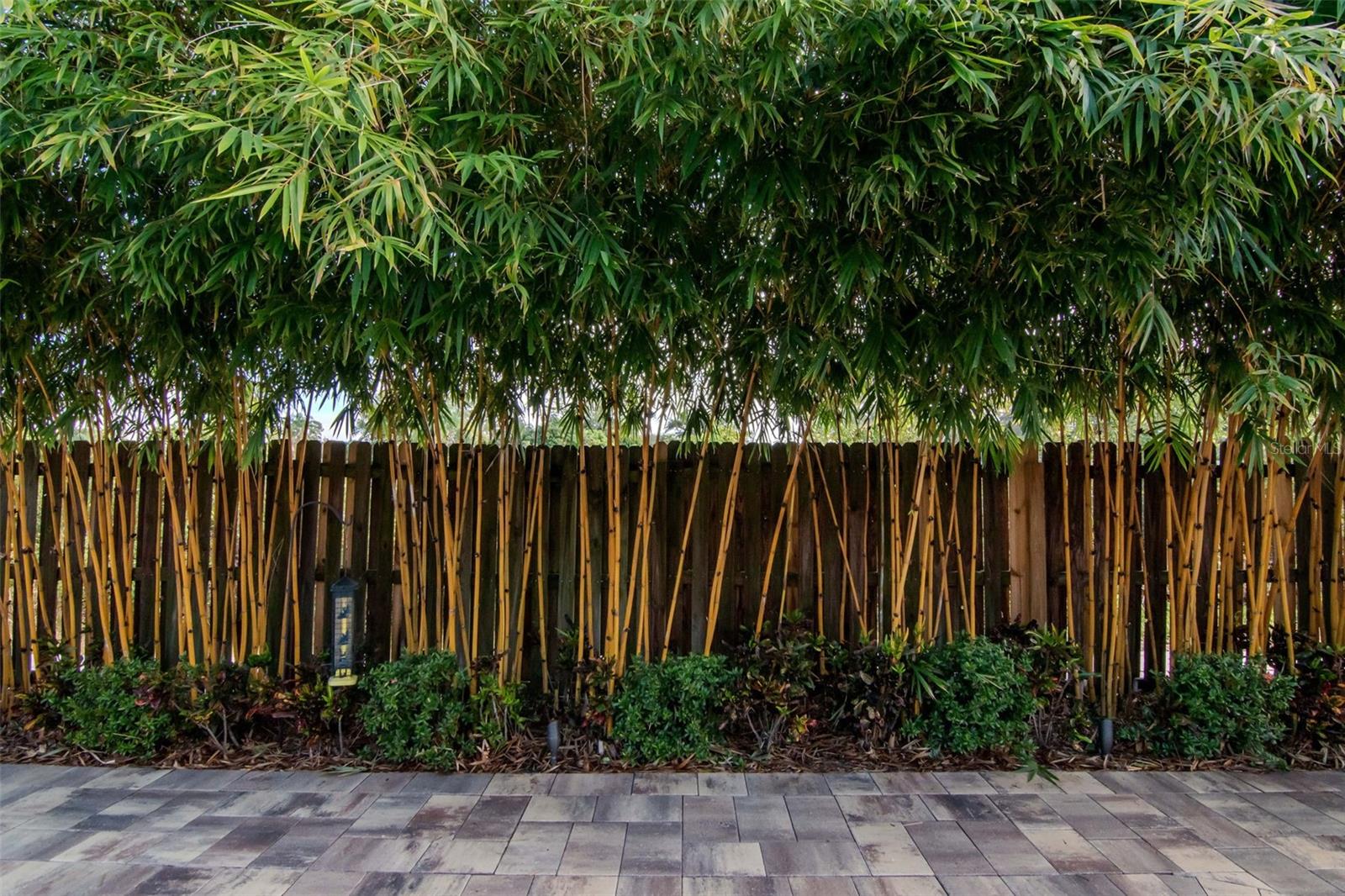 Image 39 of 68 For 3021 Brookfield Lane